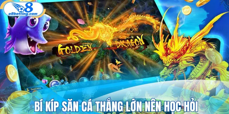 Chiến thuật săn cá thắng lớn nên học hỏi