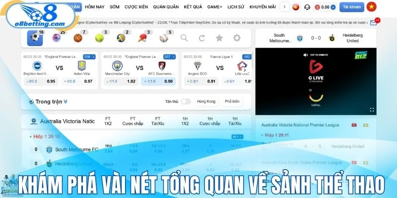 Khám phá vài nét tổng quan về sảnh thể thao