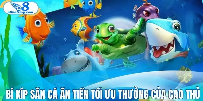 Mẹo săn cá tối ưu thưởng của cao thủ lâu năm